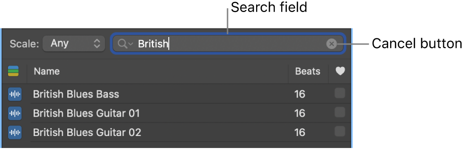 Search field in the Loop Browser.