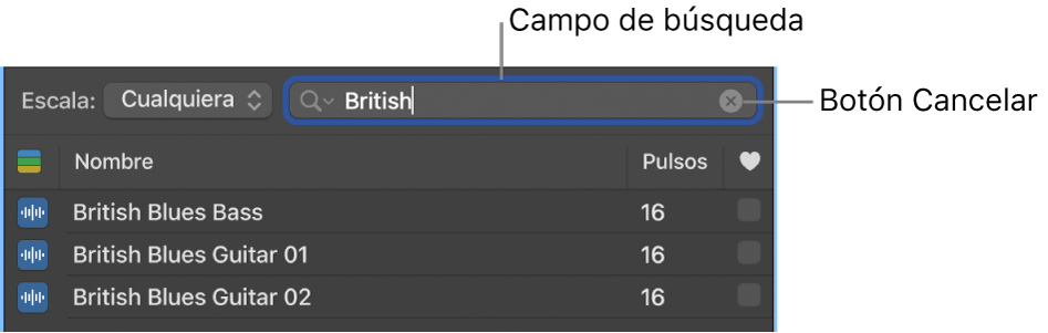 Campo de búsqueda en el explorador de loops.