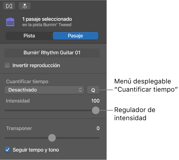 Inspector del editor de audio, con el menú desplegable Cuantificar tiempo y el regulador de intensidad.