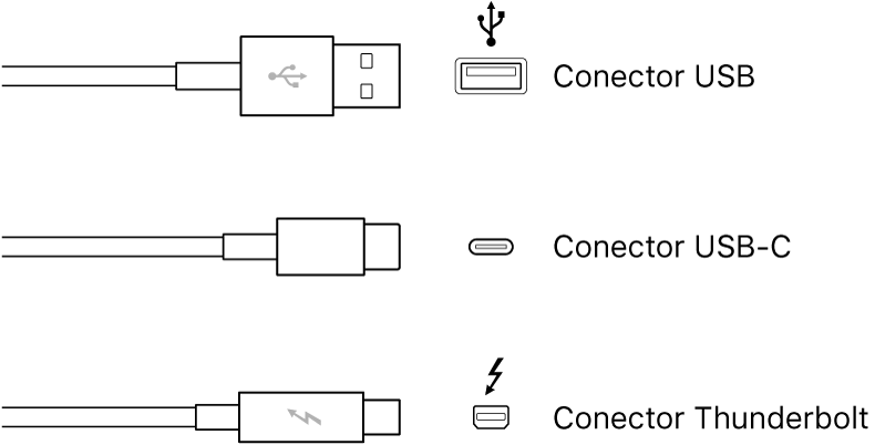 Ilustración de los tipos de conectores USB y Thunderbolt.