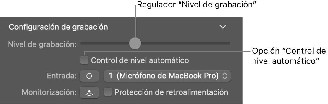 El regulador Nivel de grabación y casilla Control de nivel automático en el inspector de Smart Controls.