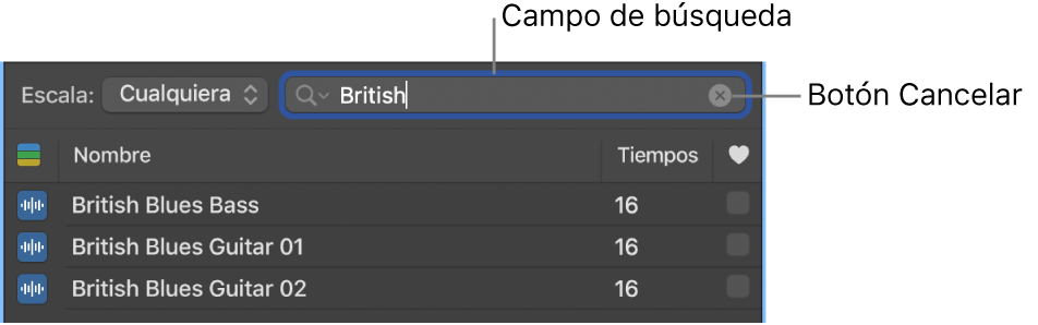 Campo de búsqueda en el explorador de loops.