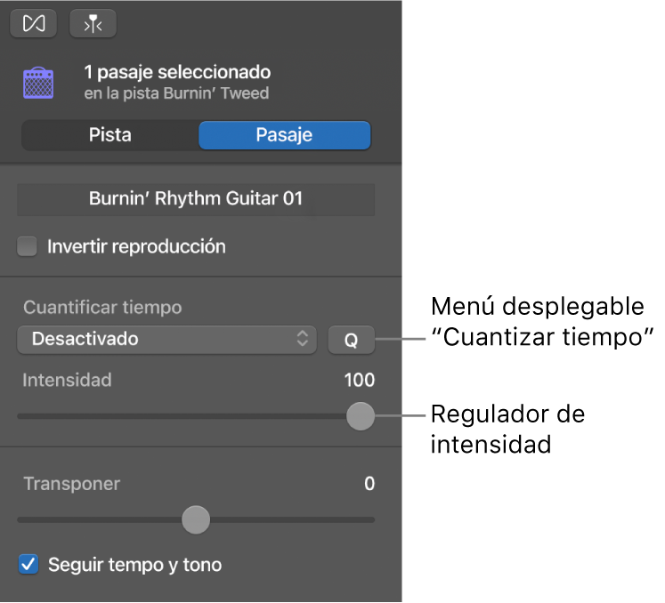 Inspector del editor de audio, con el menú desplegable “Cuantizar tiempo” y el regulador de intensidad.