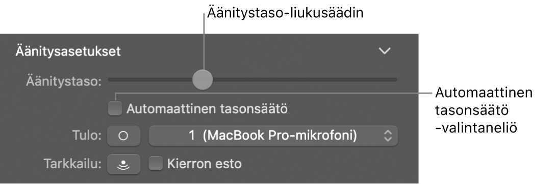 Smart Controlit -inspektorin Äänitystaso-liukusäädin ja Automaattinen tasonsäätö -valintaneliö.