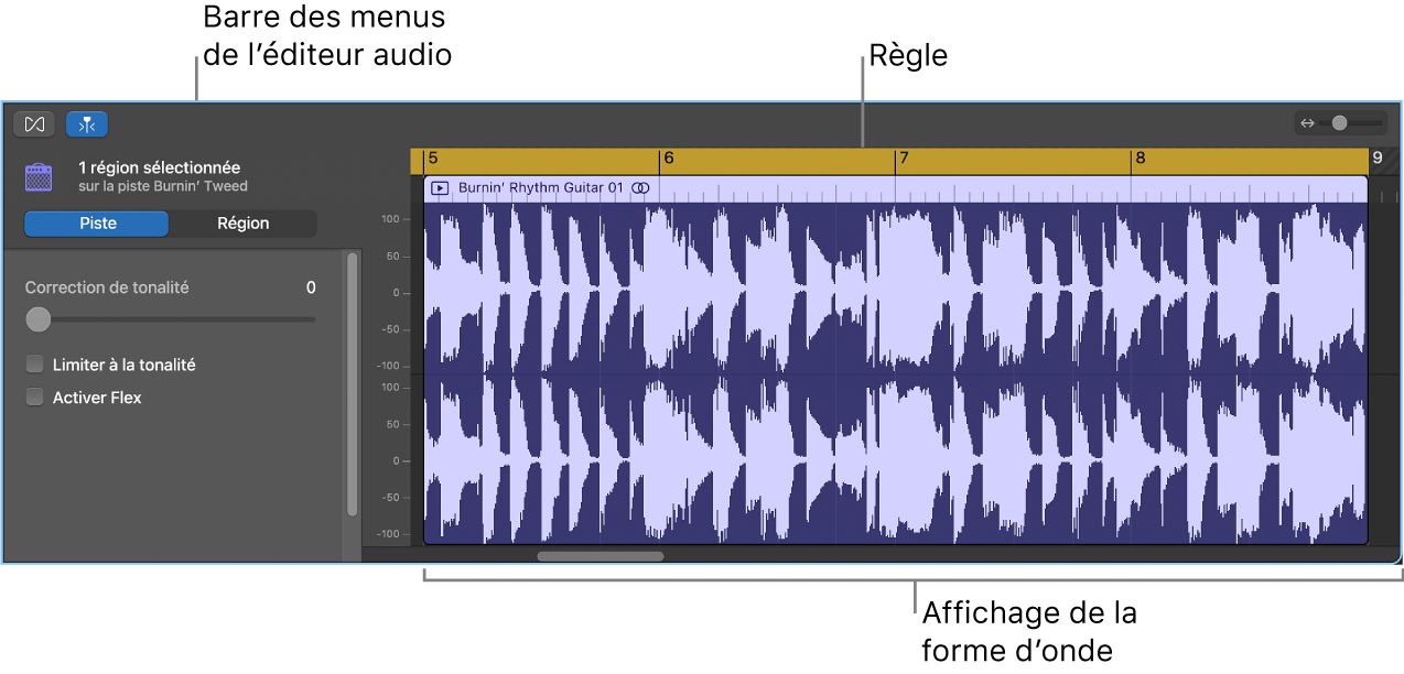 Éditeur audio avec une région sélectionnée.