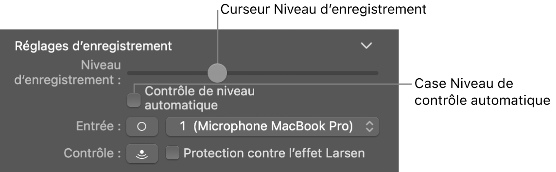 Curseur Niveau d’enregistrement et case Contrôle de niveau automatique dans l’inspecteur Smart Controls.
