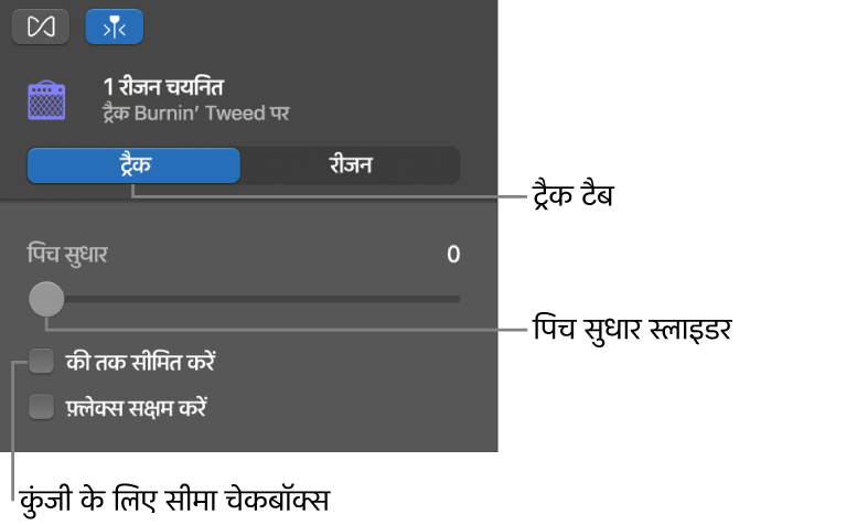 ऑडियो संपादक इंस्पेक्टर द्वारा ट्रैक मोड में पिच सुधार स्लाइडर और कुंजी पर सीमित करें चेकबॉक्स दिखाया जा रहा है।