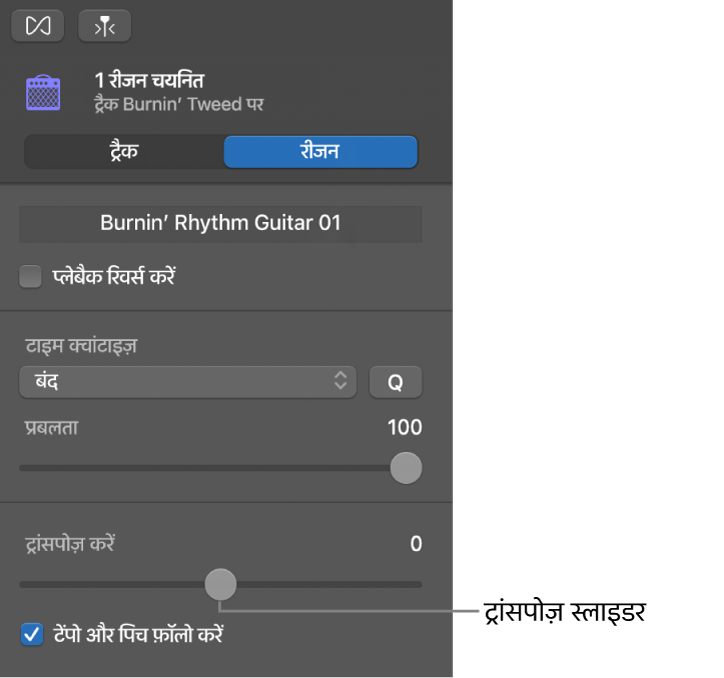 ऑडियो संपादक इंस्पेक्टर द्वारा क्षेत्र मोड में पक्षांतरण स्लाइडर दिखाया जा रहा है।
