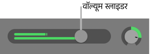 वॉल्यूम स्लाइडर दिखाने वाला ट्रैक हेडर।