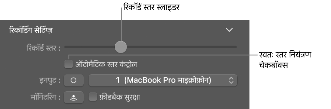 Smart Controls इंस्पेक्टर में रिकॉर्ड स्तर स्लाइडर और ऑटोमैटिक स्तर नियंत्रण चेकबॉक्स।