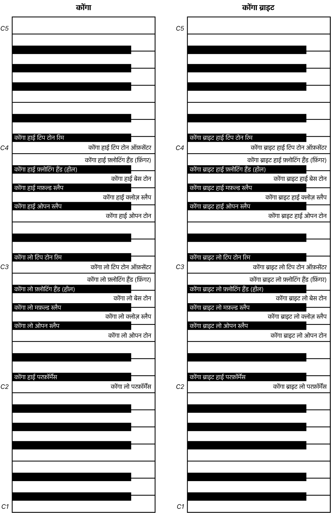 चित्र। कोंगा और कोंगा ब्राइट परफ़ॉर्मेंस कीबोर्ड मैप।