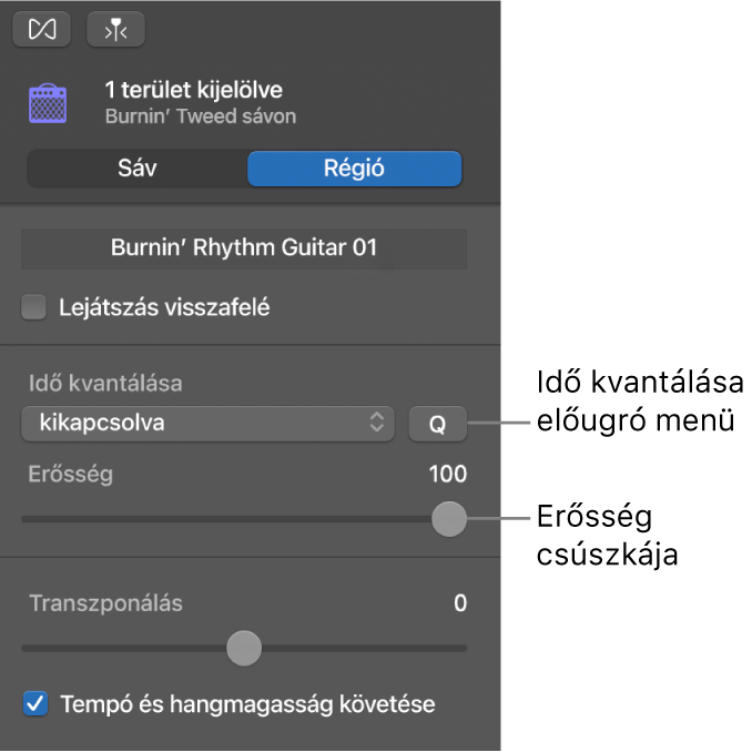 A Hangszerkesztő vizsgálója az Időkvantálás előugró menüvel és az Erősség csúszkájával.