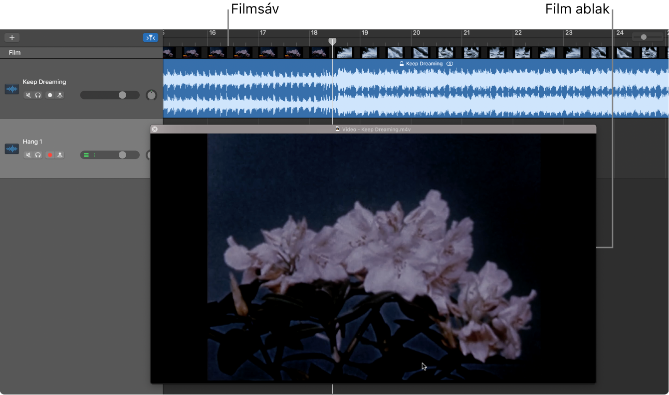 A lebegő Film ablak és egy sáv a film hanganyagával.