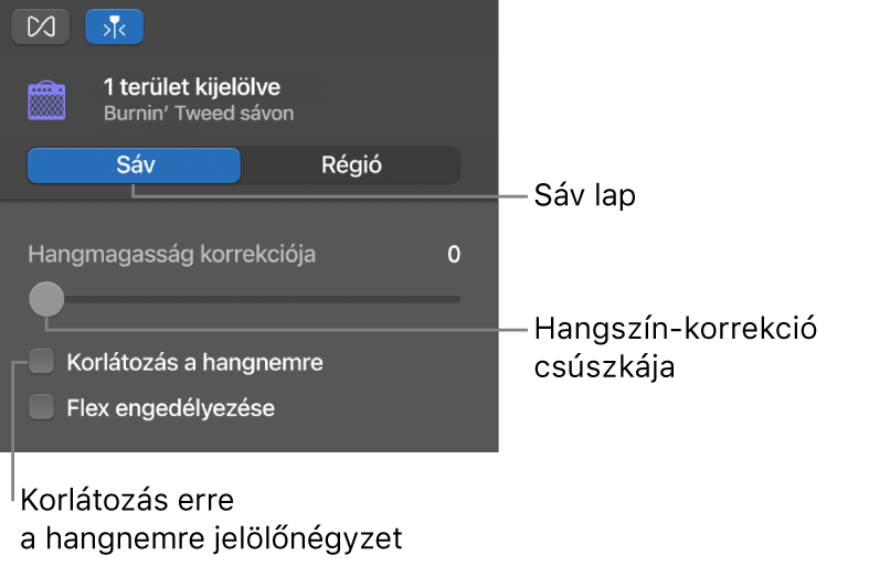 A Hangszerkesztő vizsgálója Sáv módban a Hangszín-korrekció csúszkájával és a Korlátozás a hangnemre jelölőnégyzettel.