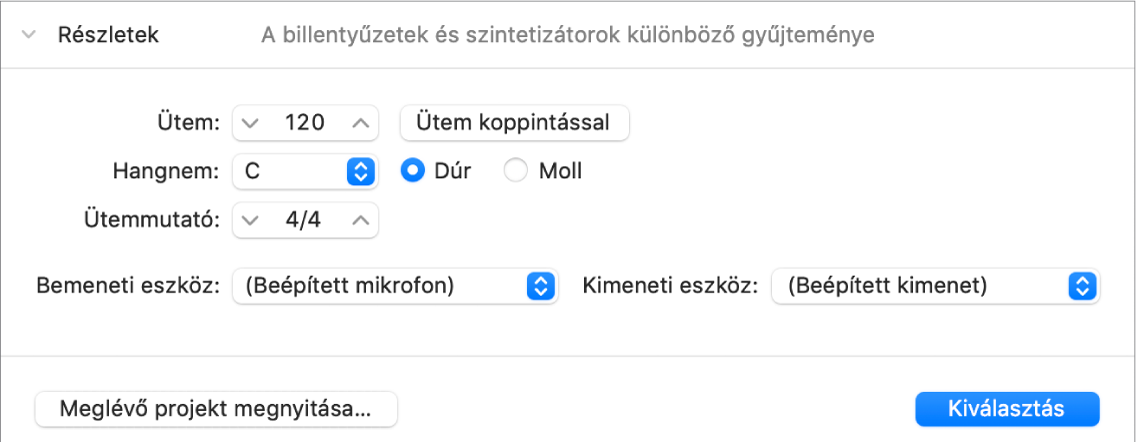 A Projektválasztóban lévő Részletek terület megnyitott állapotban a paraméterekkel
