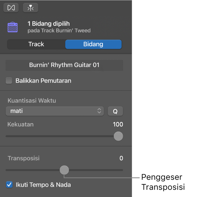 Inspektur Editor Audio dalam mode Bidang, yang menampilkan penggeser Transposisi.