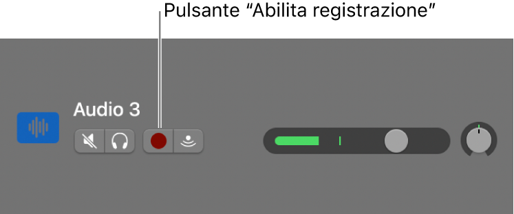 Intestazione traccia con pulsante Abilita registrazione.