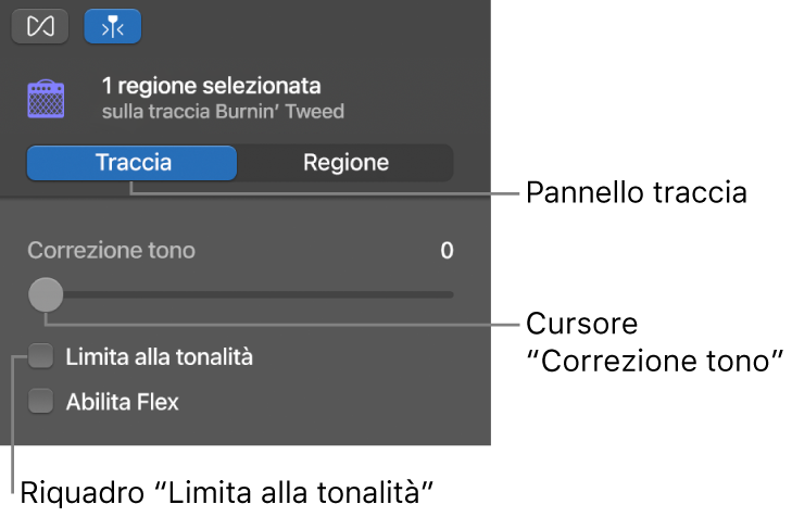 Inspector “Editor audio” in modalità Traccia, con cursore “Correzione tono” e opzione “Limita alla tonalità”.