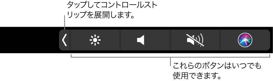 図。Touch BarのControl Strip。