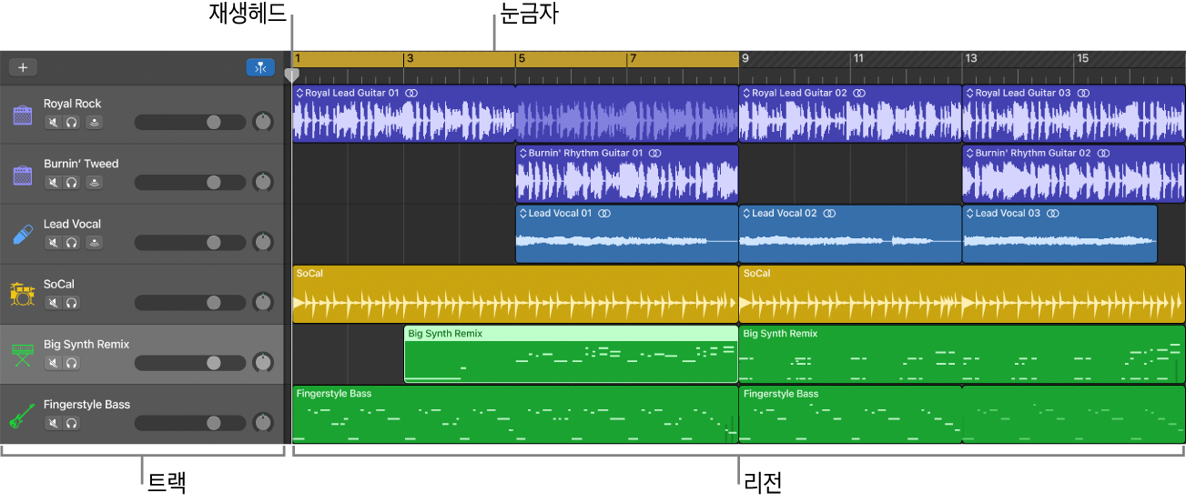 트랙, 리전, 재생헤드 및 눈금자를 표시하는 트랙 영역.