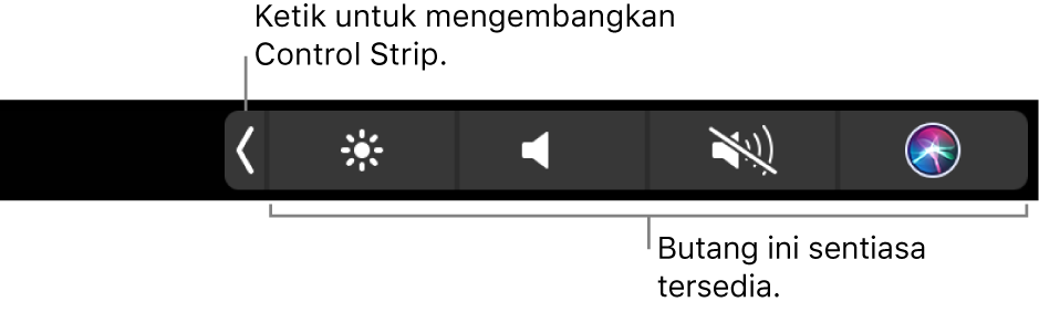 Rajah. Control Strip Touch Bar.