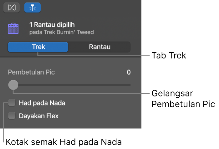 Pemeriksa Editor Audio dalam mod Trek, menunjukkan gelangsar Pembetulan Pic dan kotak semak Hadkan pada Kunci.