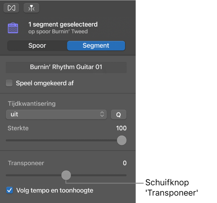 Infovenster van de audio-editor in de segmentmodus, met de schuifknop 'Transponeer'.