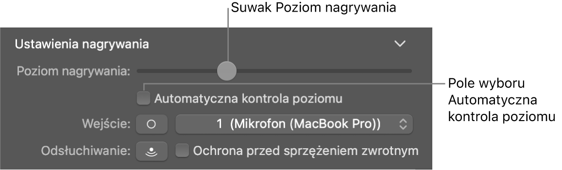 Suwak Poziom nagrywania oraz pole wyboru Automatyczna kontrola poziomu w inspektorze narzędzi Smart Controls.