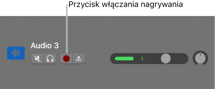 Nagłówek ścieżki z przyciskiem Gotowość nagrywania.