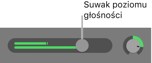 Nagłówek ścieżki z suwakiem głośności.