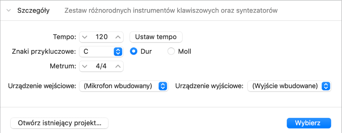 Obszar szczegółów z parametrami w oknie wybierania projektu