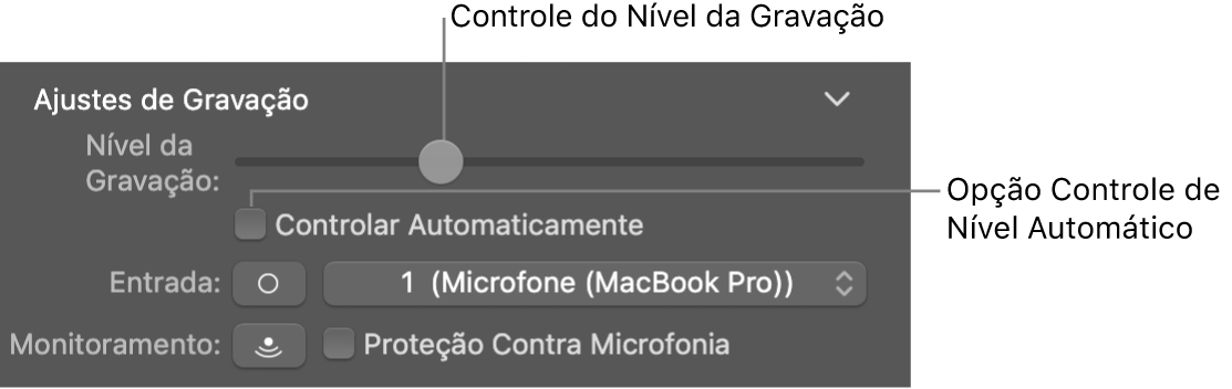 Controle do Nível da Gravação e opção Controlar Automaticamente no inspetor de Smart Controls.