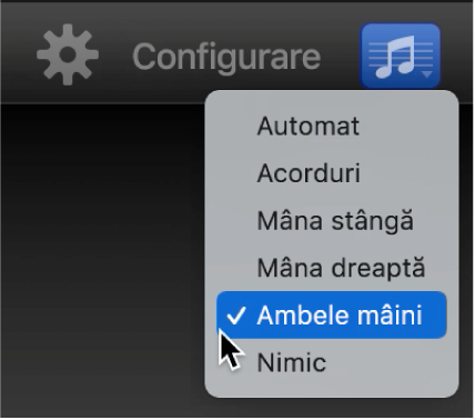 Meniul pop-up Notație.