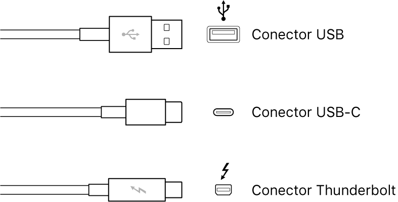 Ilustrație a tipurilor de conectori USB și Thunderbolt.