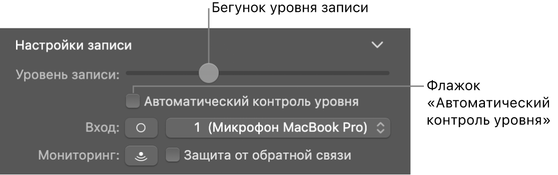 Слайдер уровня записи и флажок «Автоматический контроль уровня» в инспекторе пульта Smart Controls.