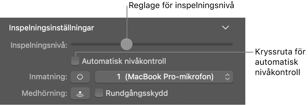 Reglaget Inspelningsnivå och kryssrutan Automatisk nivåkontroll i granskaren för Smart Controls.