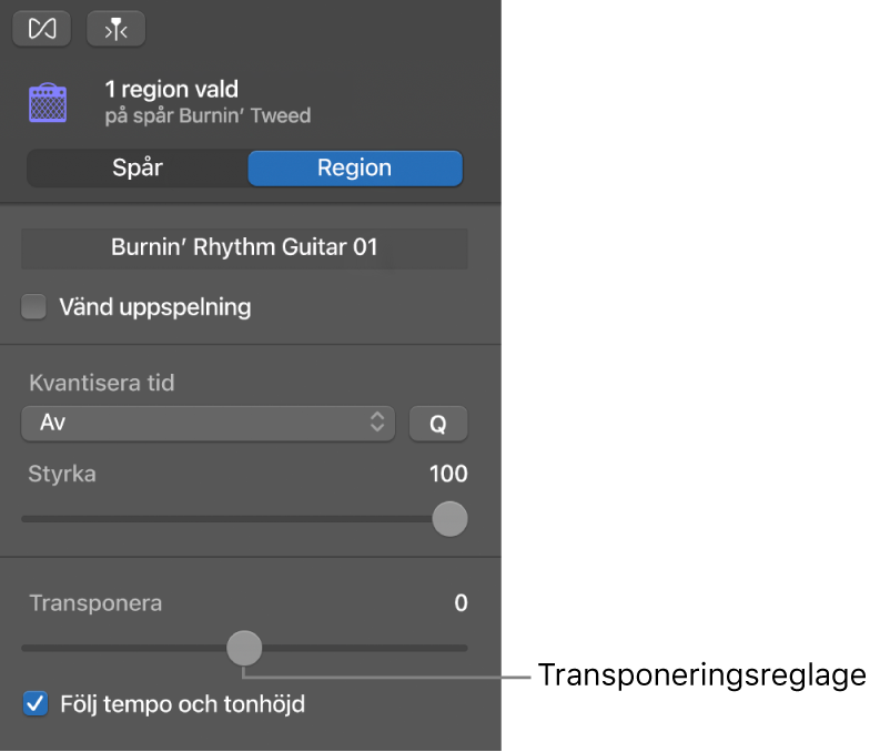 Ljudredigerarens granskare i regionläge med transponeringsreglaget.