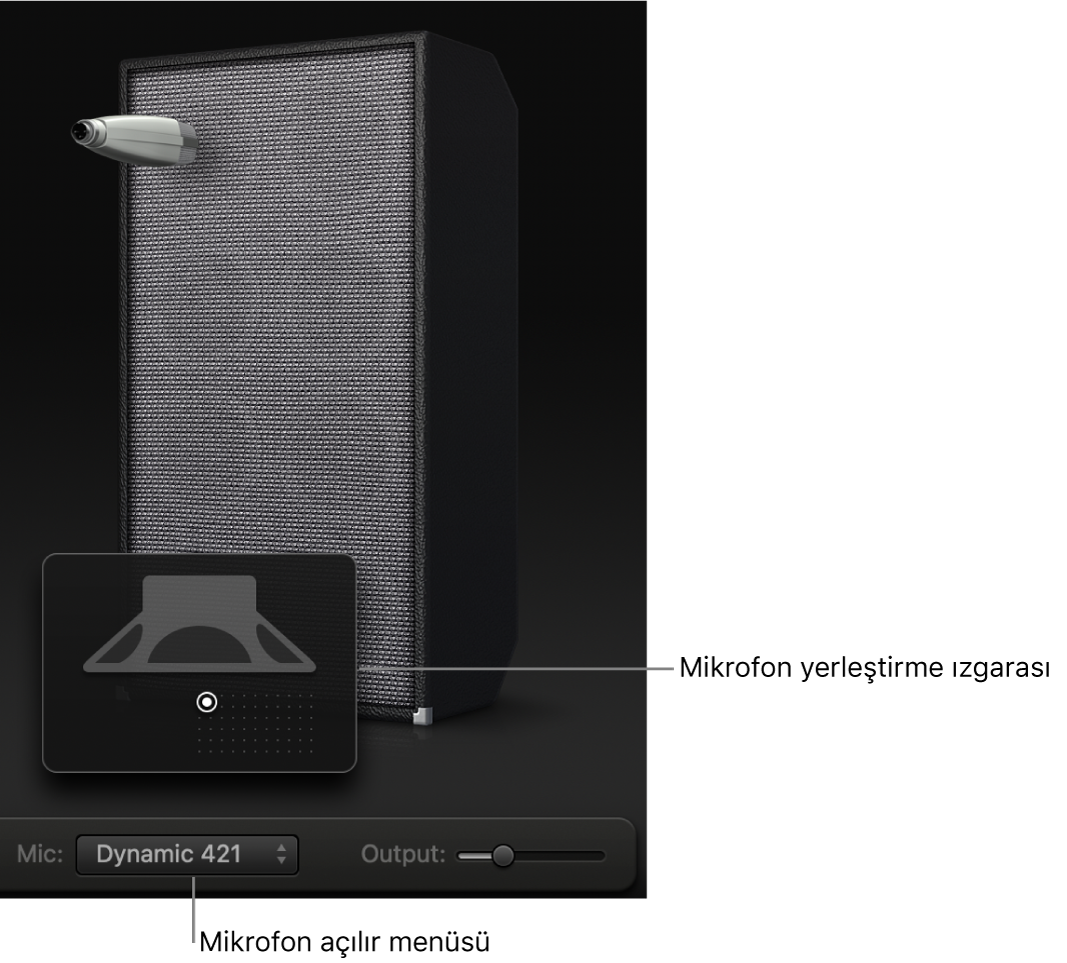 Mic menüsü ve Mikrofon yerleştirme ızgarasını gösteren Bass Amp Designer kabin bölgesi.
