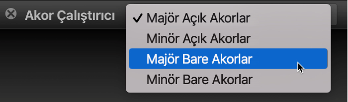 Akor Çalıştırıcı açılır menüsü.