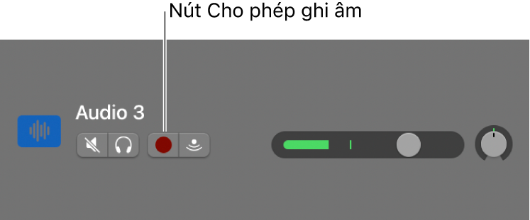 Tiêu đề rãnh đang hiển thị nút Cho phép ghi âm.