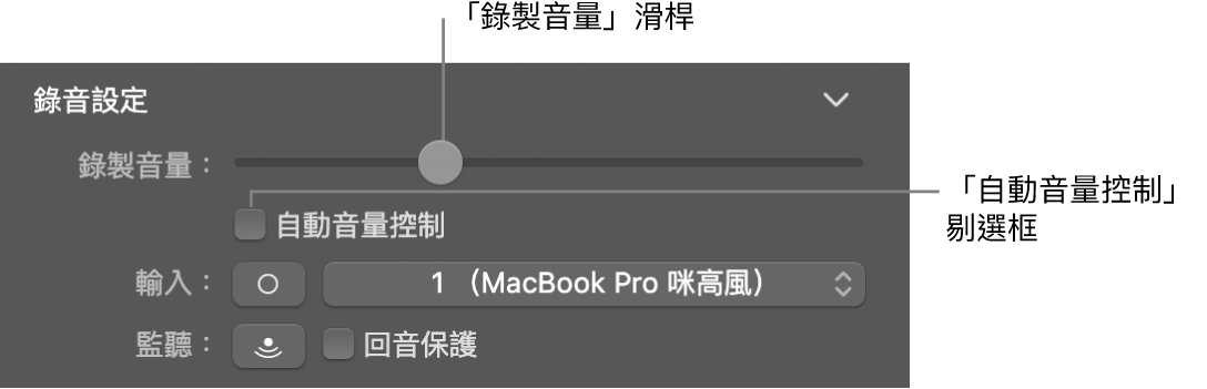 「智慧型控制項目」檢閲器中的「錄製音量」滑桿和「自動音量控制」剔選框。