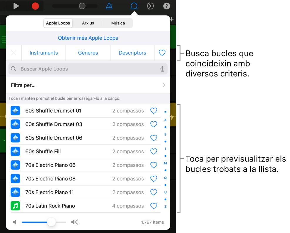 Llista de resultats del navegador de bucles