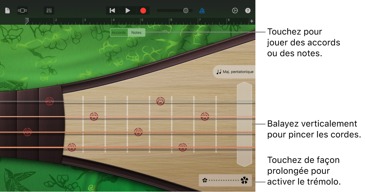 Illustration. Pipa dans la vue Notes.