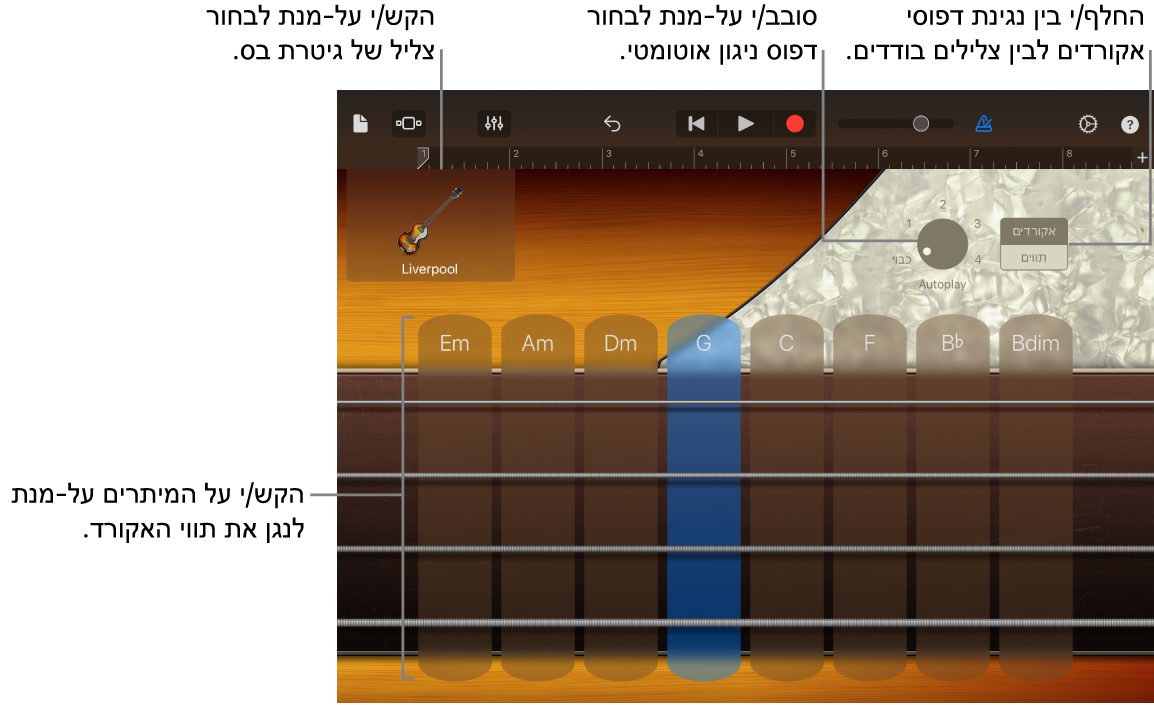 בס מבוסס-מגע