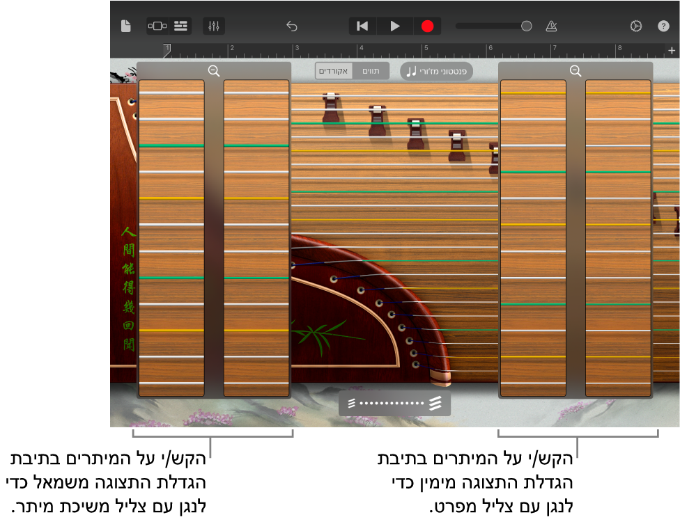 תיבות הגדלת תצוגה של גוז'נג