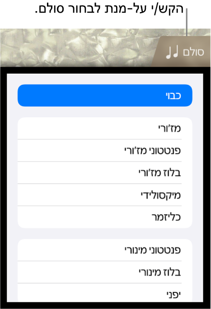 הכפתור ״סולם״ ורשימת הסולמות של הבס