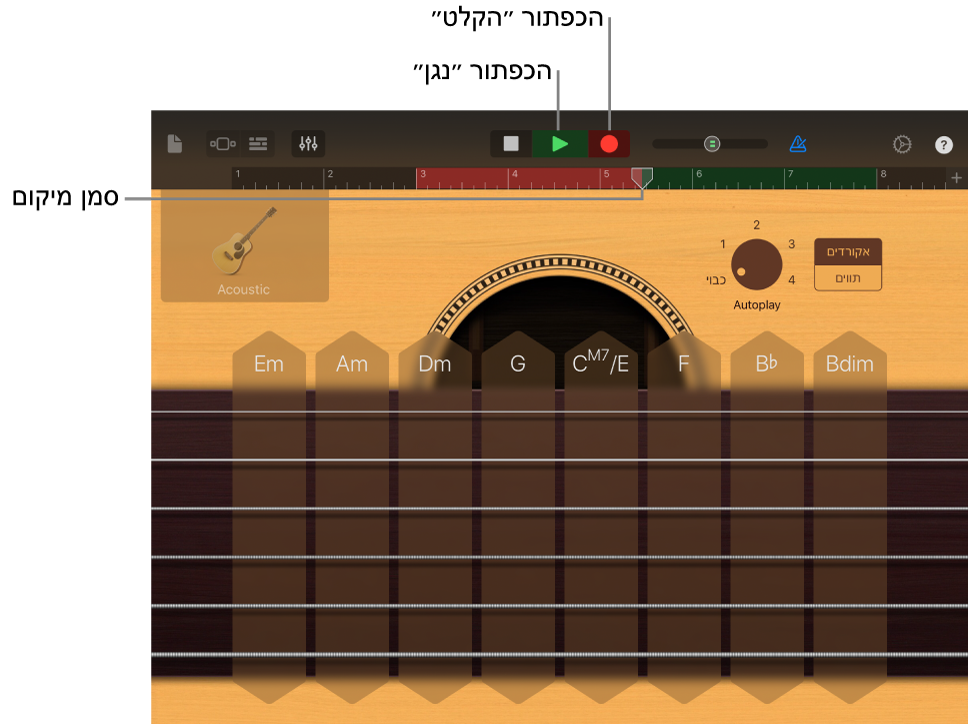 הכפתור ״הקלט״ והסרגל מציגים אזור מוקלט