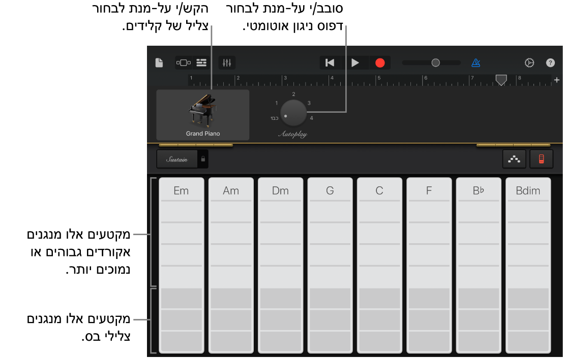 רצועות אקורדים בכלי המקלדת