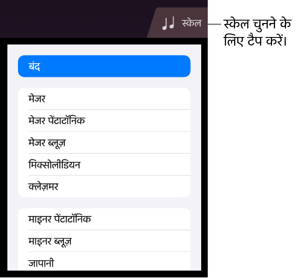 “स्ट्रिंग स्केल” बटन और स्केल सूची