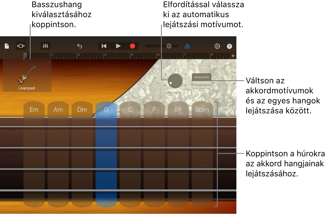 Bass érintőhangszer